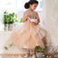 Sequin Top Champagne gold Flower Girl Dress, Champagne Tutu Flower Girl Dresses, TYP0846