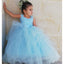 Blue Tulle A-Line Sleeveless Flower Girl Dresses, Popular Lace Little Girl Dresses, TYP1416