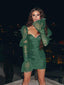 New Autumn Green V-Neck Long Sleeve Cheap Short Homecoming Dresses, HDS0005